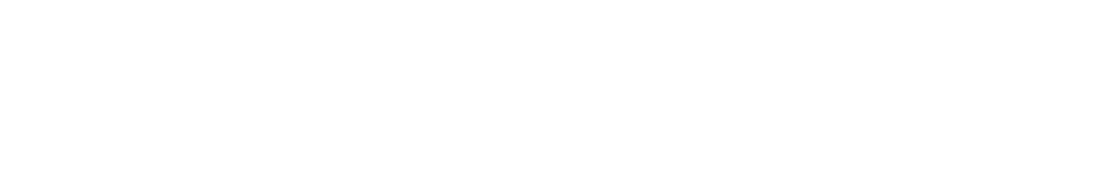 29.01-03-site-logo